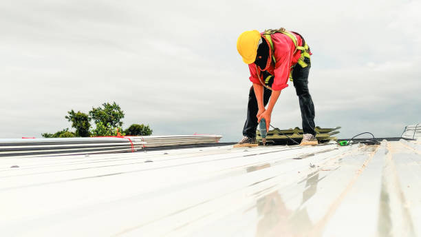 Best Roof Repair  in Mariposa, CA