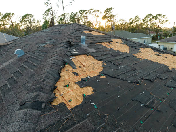 Best Roof Waterproofing  in Mariposa, CA
